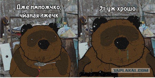 Да они же обдолбанные все!