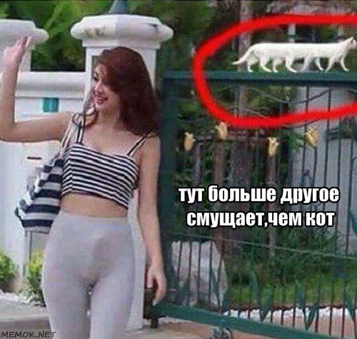 Аморальный и чёрный юмор к началу недели