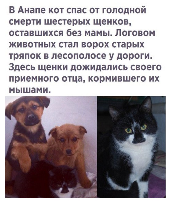 Подборка интересных и веселых картинок