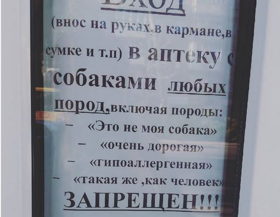 С четвероногими нельзя!
