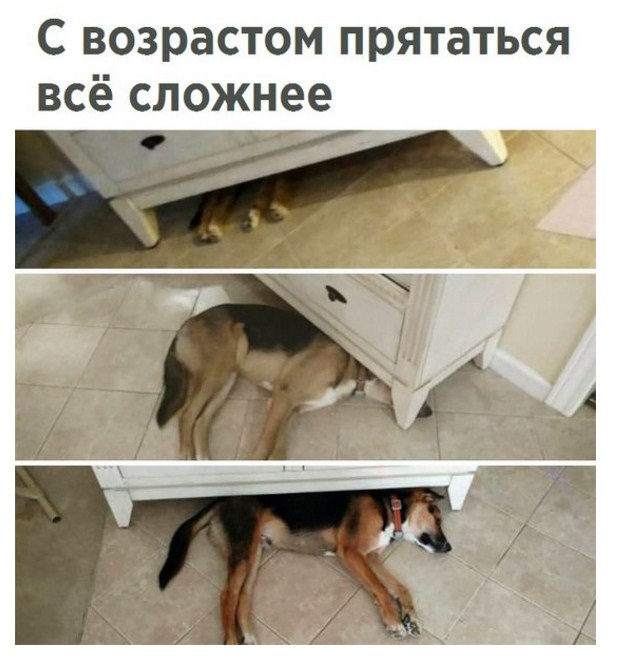 Картинки всякие разные