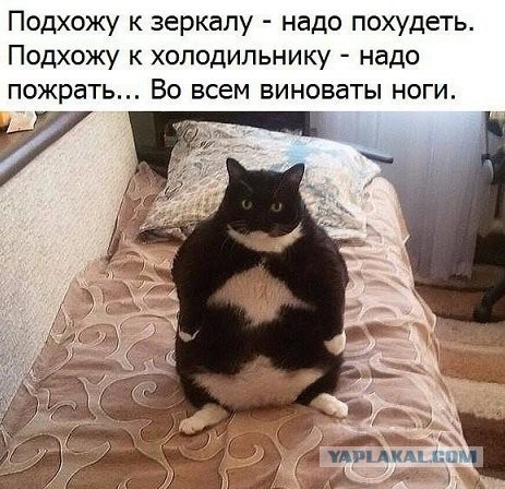 Смешные комментарии из социальных сетей 08.12.2017