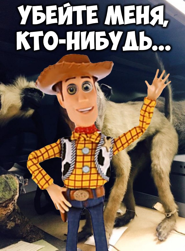 Вся гамма эмоций навсегда остается на лицах зверей, попавших под горячую руку таксидермиста