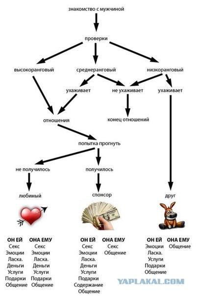 Куда делись настоящие мужчины?