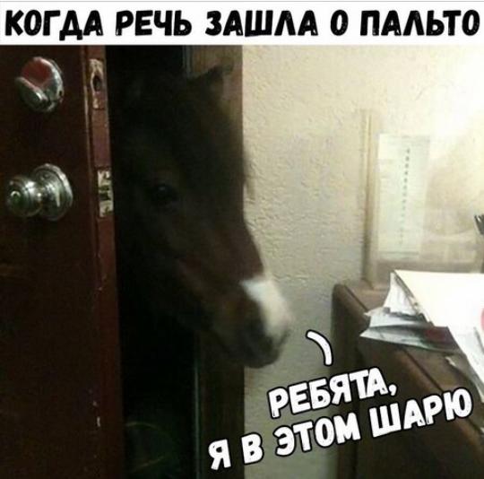Два мужа