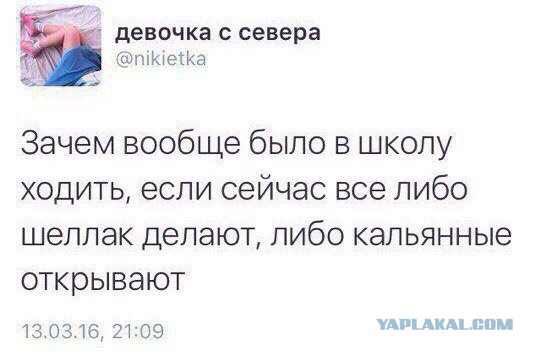 Смешные комментарии из социальных сетей 20.04.2018