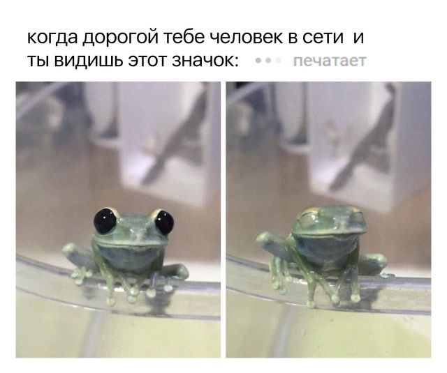Прикольные картинки обо всем
