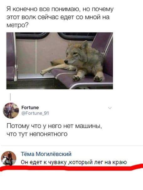 Смешные комментарии из социальных сетей 03.08.2018
