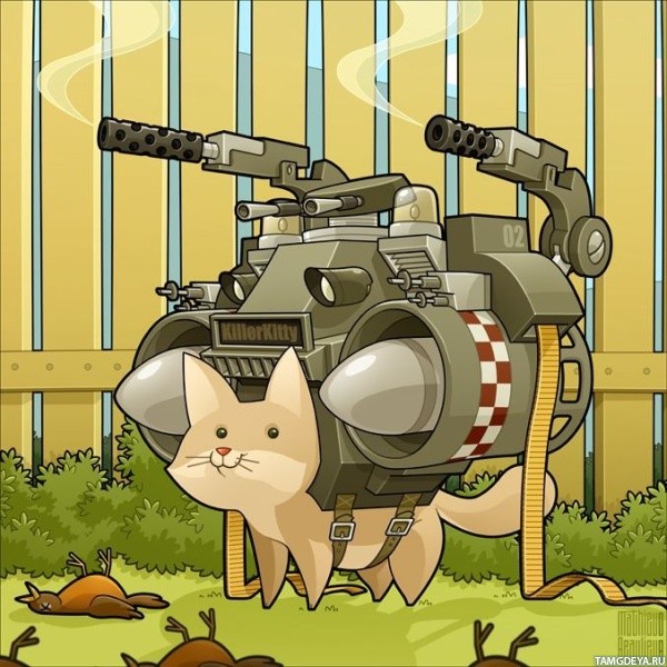 Боевые коты