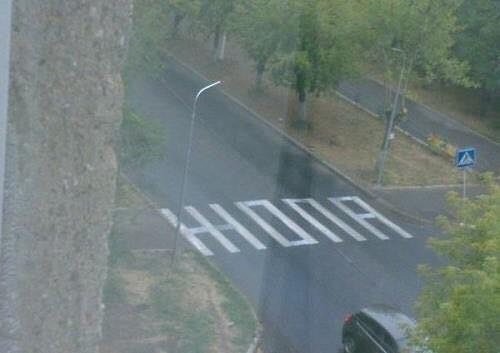 Лента прикольных картинок