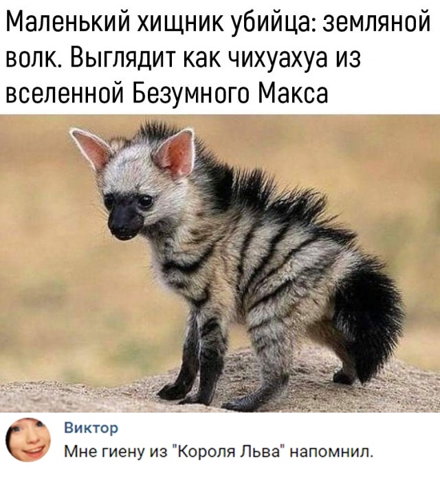 Нестандартный юмор