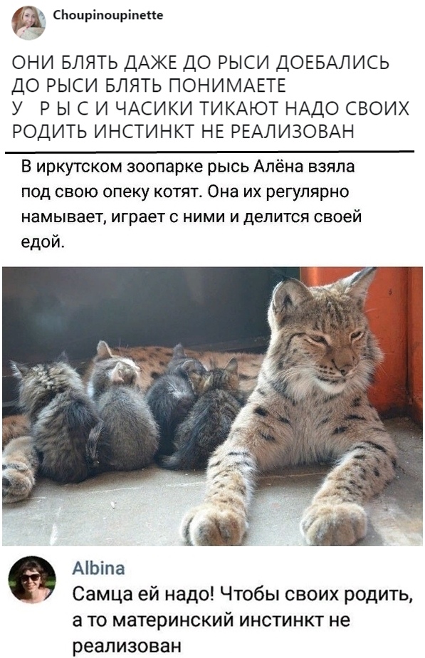Прикольные картинки абавсём