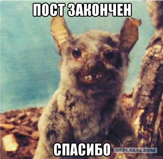Теряя свою веру #2