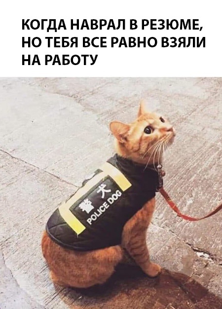 Прикольные комментарии и высказывания из Сети