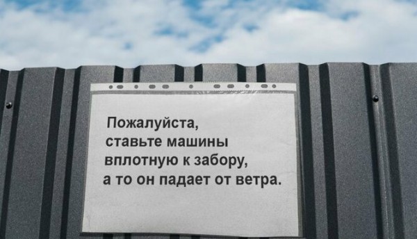 Перлы 12.08.2019