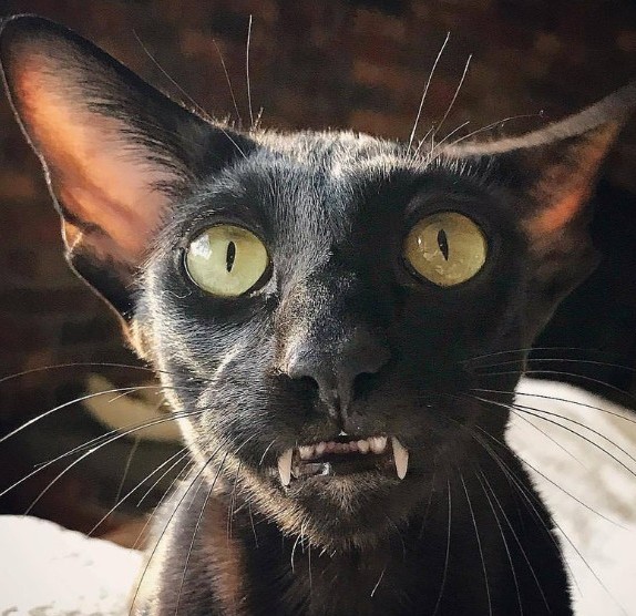 Калейдоскоп Картинок