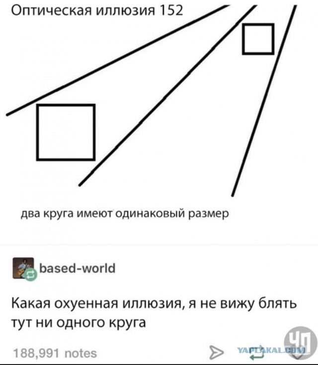 Картинки из этих ваших интернетов 24.02.20