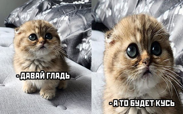 Немного картинок для настроения 20.06.20