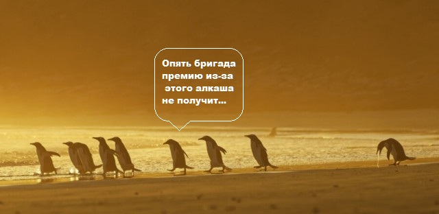 Премия комедийной фотографии дикой природы-2020 объявила финалистов. Среди них — грустная обезьяна и злая черепаха