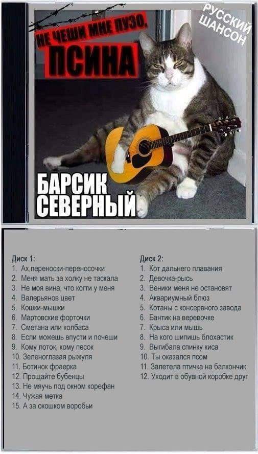 Разные картинки во вторник. С котами