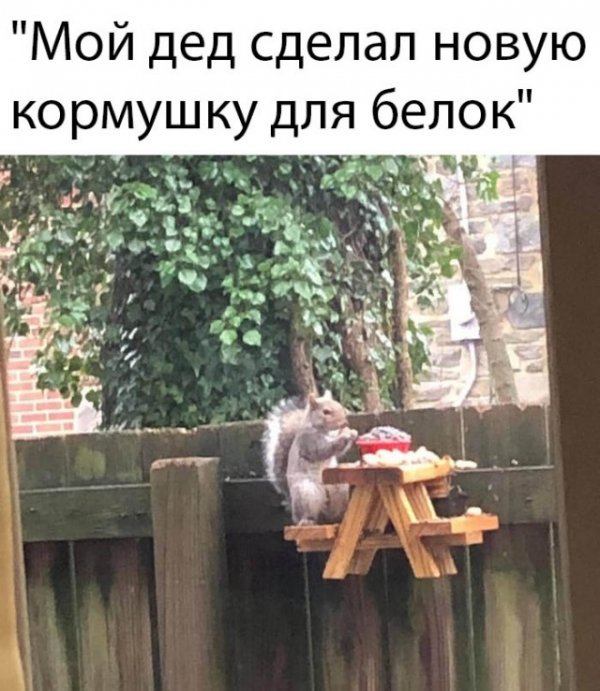 Прикольные и просто красивые картинки 10.11.2020