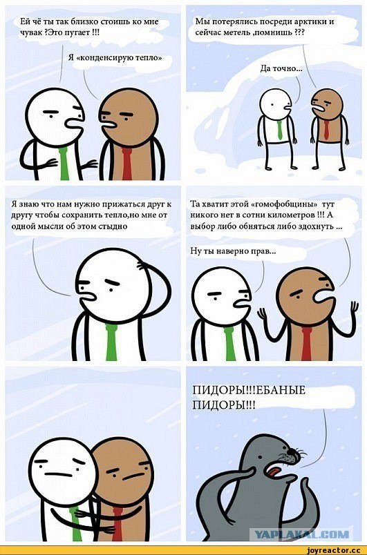 Закон- тайга, медведь за прокурора!