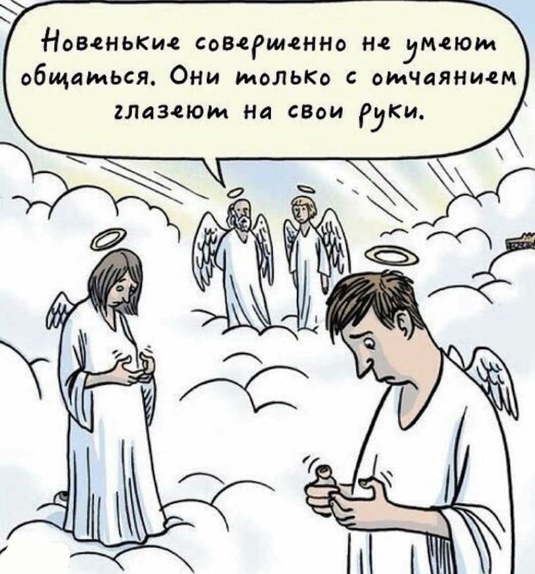 15117816.jpg