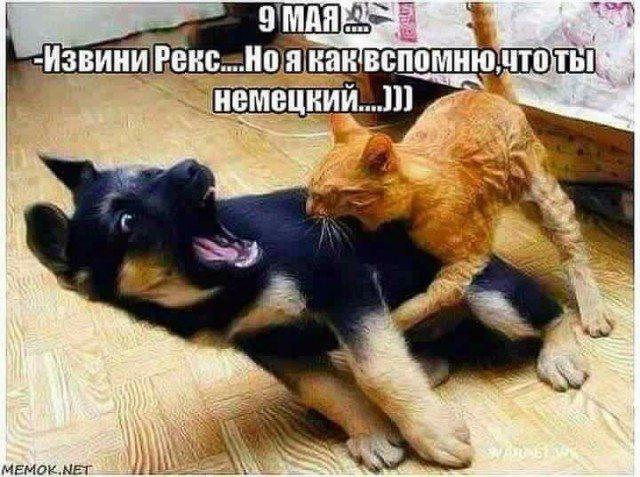 Пикчеслив 16.01.21