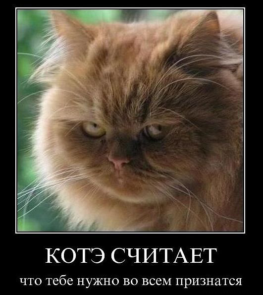 Не смотри ему в глаза!