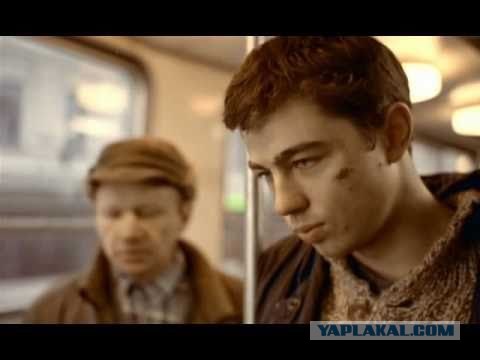 Недотрога с фальшивыми правами