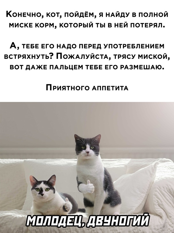 Весёлый полтишок 21.06.2021