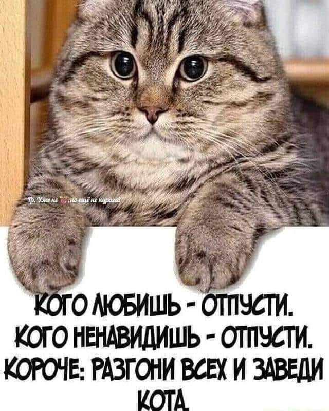 Весёлый полтишок 21.07