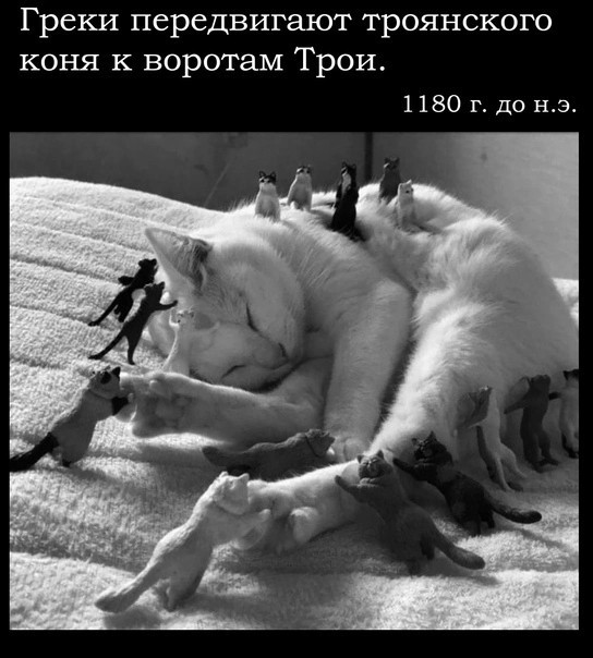 Юмор в картинках 16.08.21