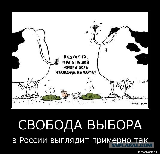 Опубликованы кандидаты от "Умного голосования" на выборах в Госдуму