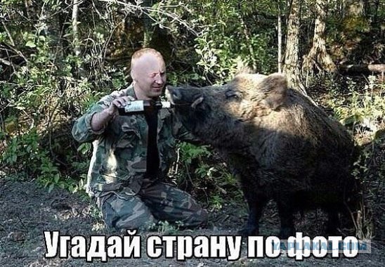 Так себе картинки 07.10.21