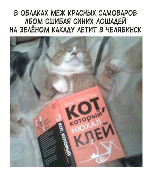 Всяческие картинки 10.12.2021