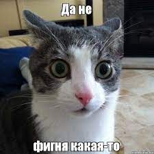 Картинки всяческие 27.01.2022
