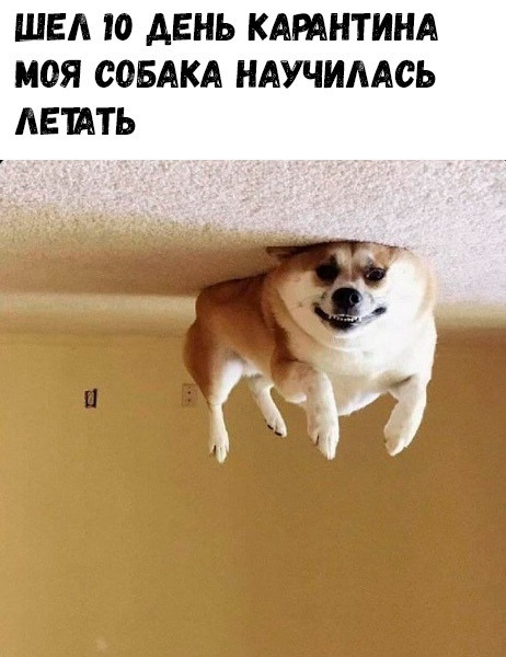 40 картинок разных 03.02.2022