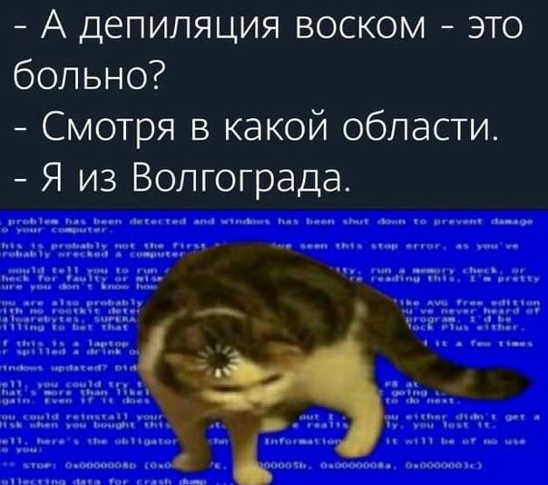 Суббота? Опять напился? Надо, чтобы убило? Тебе сюда