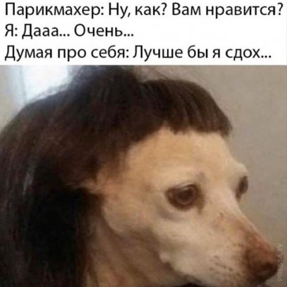 Так себе картинки 13.04.22