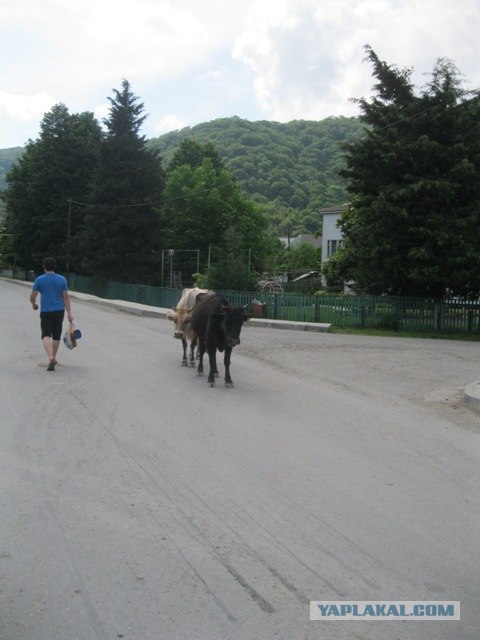 Лазаревское