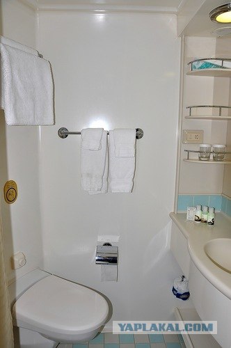 Любовь с первого взгляда