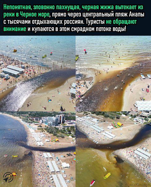 Наглый охранник оскорбляет и гонит отдыхающих с пляжа "Дельфин" в Геленджике