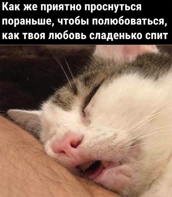 За кого выйдет замуж небедная, образованная и успешная девушка с приданым? Зеркальный ответ любителям повышенной планки
