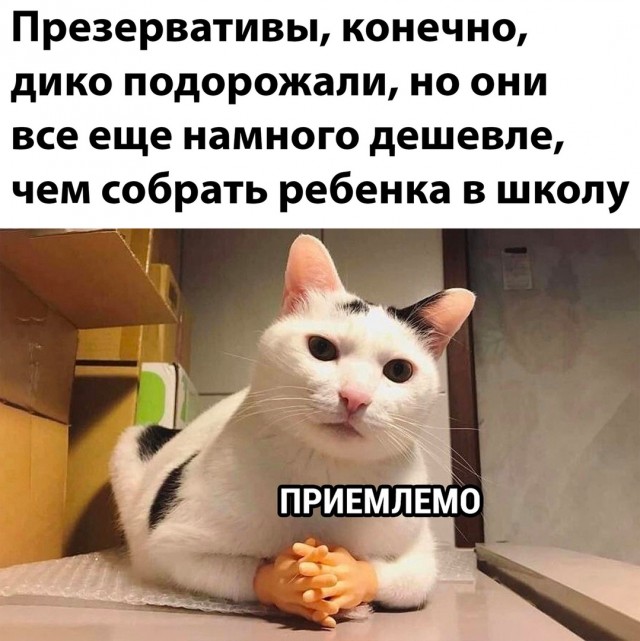Немного картинок."Колбасный ветер". Август