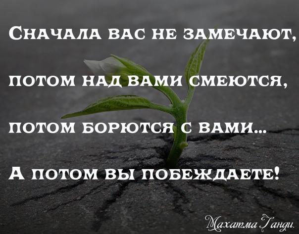 Пандемия съехавших крыш - разновидности болезни. Россия и мир. Часть 40.