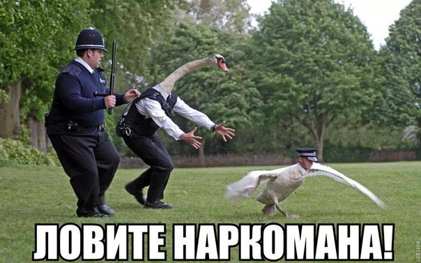 Чёрно-пошлый вторник