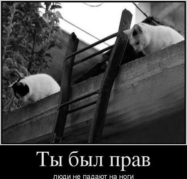 Картинки и мемы, всем хороших выходных