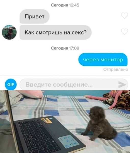 Картинки и мемы, всем хороших выходных