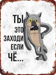 Голодный волк вышел к людям в Рыбинском районе